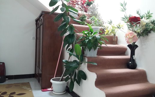 اجاره آپارتمان یک خوابه پویا 1