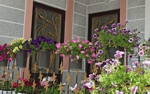 اجاره ویلا یک خوابه ایلیا