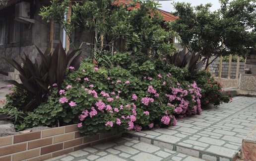 اجاره سوئیت فلت باغ عمو ایرج