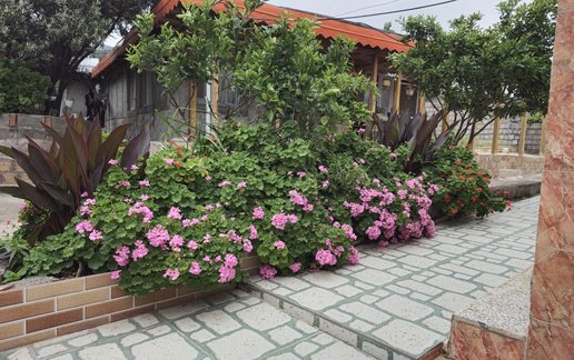 اجاره سوئیت فلت باغ عمو ایرج