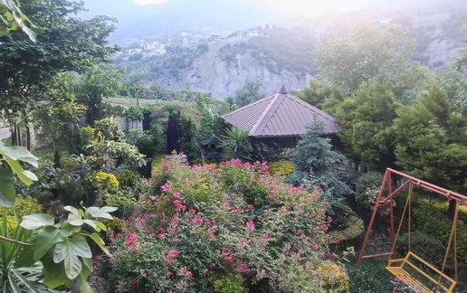 اجاره ویلا یک خوابه جنگلی لاویج