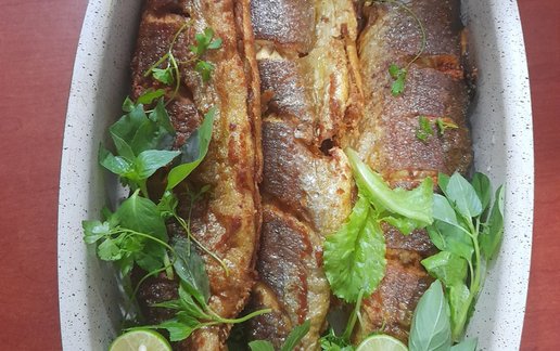اجاره ویلا دوخوابه جنگلی خانه سبز رانکوه 1