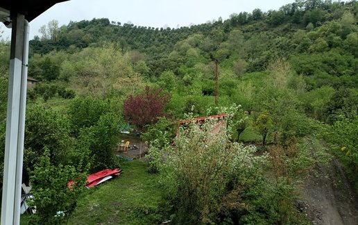 اجاره ویلا دوخوابه جنگلی خانه سبز رانکوه 1