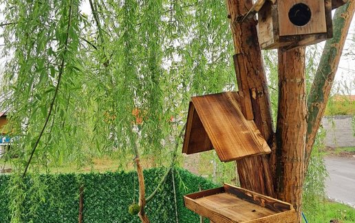 اجاره کلبه فلت چوبی تونل جنگلی