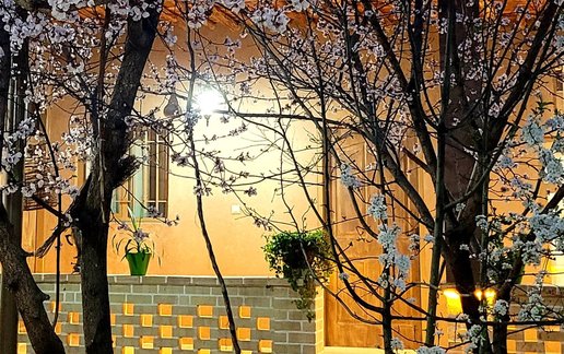 اجاره بوم گردی عمه خورشید - واحد توران