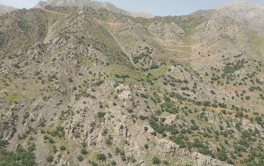 اجاره ویلا دوخوابه عابد سعدی