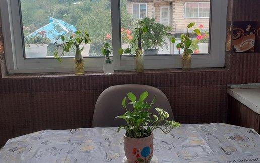 اجاره ویلا دوخوابه روستایی باقری