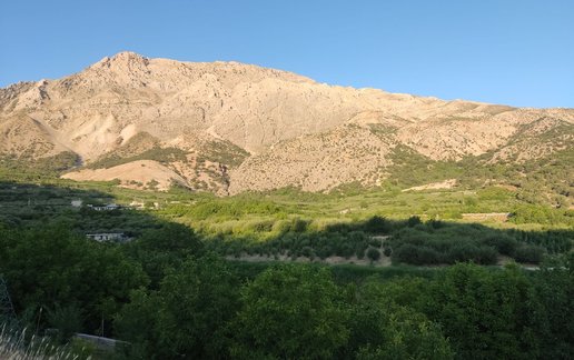 رزرو سوئیت فلت شهید بیژن ۱ واحد ۱