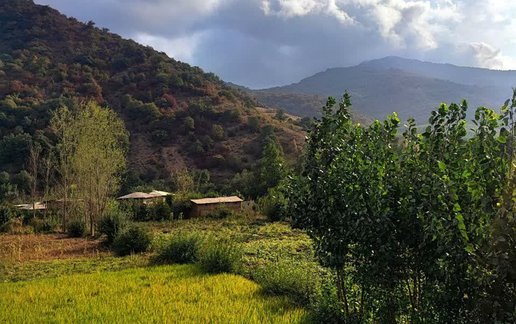 اجاره سوئیت فلت جنگلی خورشید