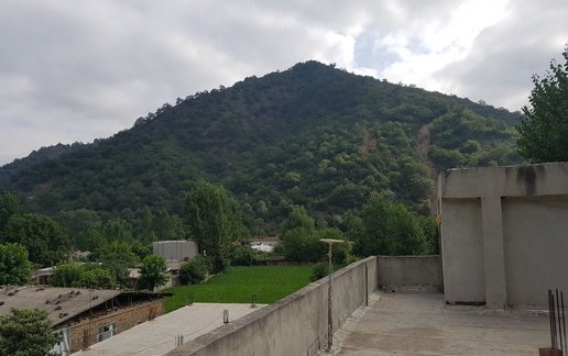 اجاره سوئیت یک خوابه جنگلی خورشید