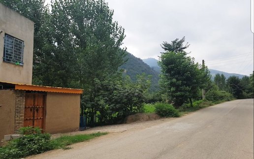 اجاره سوئیت فلت جنگلی خورشید