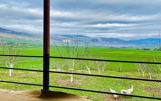 اجاره کلبه فلت جنگلی سرای نیکان