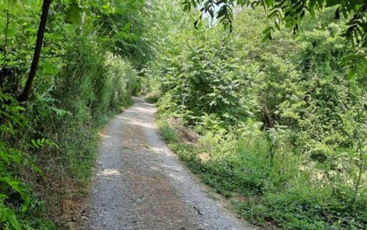 اجاره بوم گردی فلخانه - واحد گیل