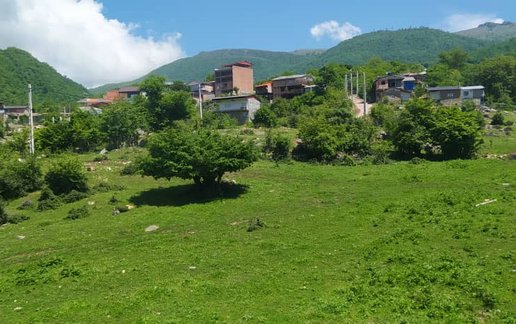 اجاره ویلا یک خوابه جنگلی زرجو
