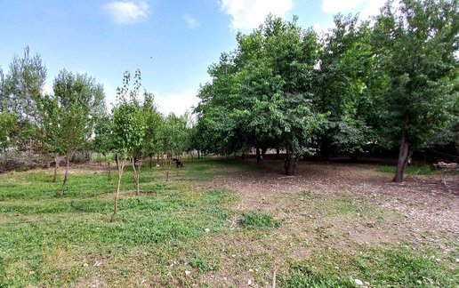 اجاره آپارتمان دوخوابه شیک نشینان
