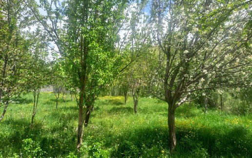 اجاره آپارتمان دوخوابه شیک نشینان