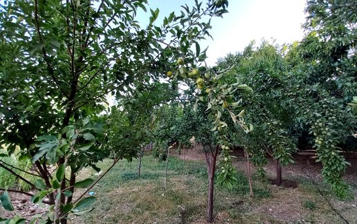 اجاره آپارتمان دوخوابه شیک نشینان