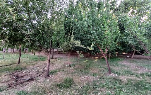 اجاره آپارتمان دوخوابه شیک نشینان