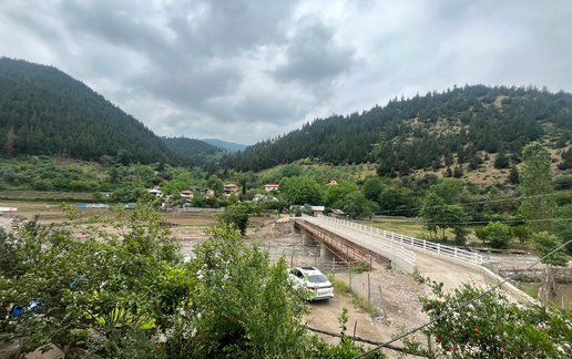 اجاره ویلا یک خوابه جنگلی امیری