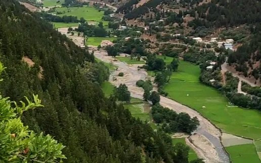اجاره ویلا یک خوابه جنگلی امیری