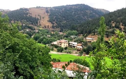 اجاره ویلا یک خوابه جنگلی امیری