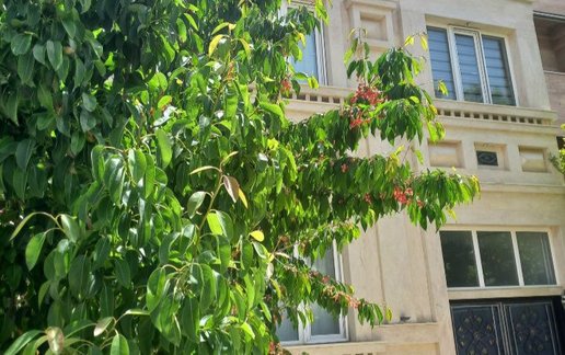 اجاره آپارتمان یک خوابه محمدی 5