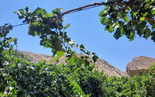 اجاره ویلا یک خوابه دنج طرلان