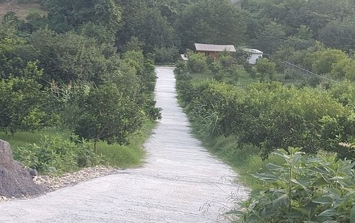 اجاره کلبه یک خوابه چوبی باغ میلا
