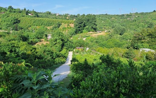اجاره کلبه یک خوابه چوبی باغ میلا