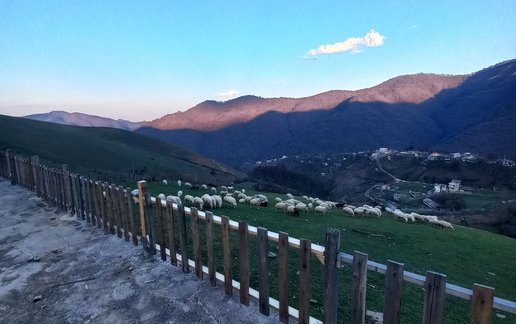 رزرو ویلا دوخوابه سرای روشن ده