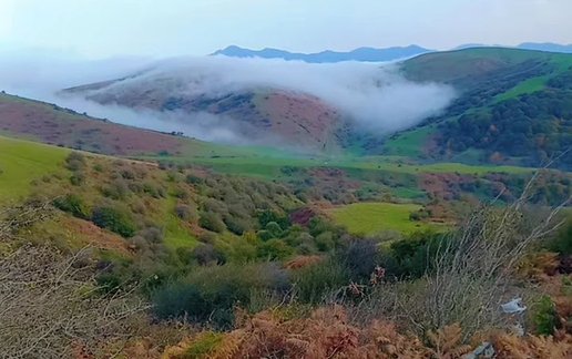 اجاره آپارتمان یک خوابه جنگلی فندقلو