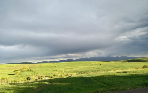 اجاره آپارتمان یک خوابه جنگلی فندقلو