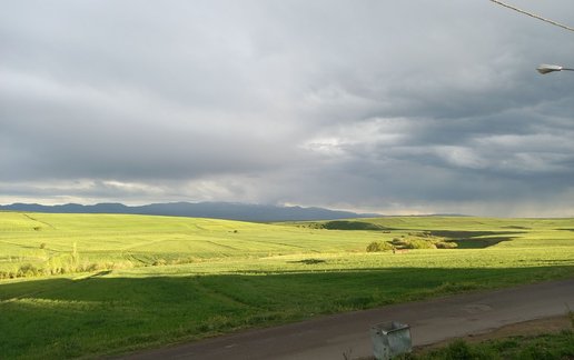 اجاره آپارتمان یک خوابه جنگلی فندقلو