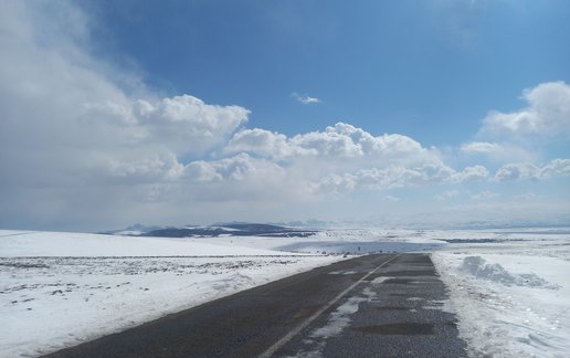 اجاره آپارتمان یک خوابه جنگلی فندقلو