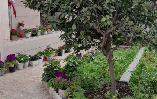اجاره ویلا دوخوابه مولوی 1