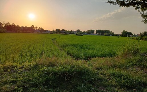 اجاره سوئیت یک خوابه اسدی 2