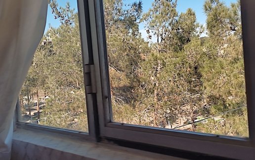 اجاره آپارتمان یک خوابه سبز 5
