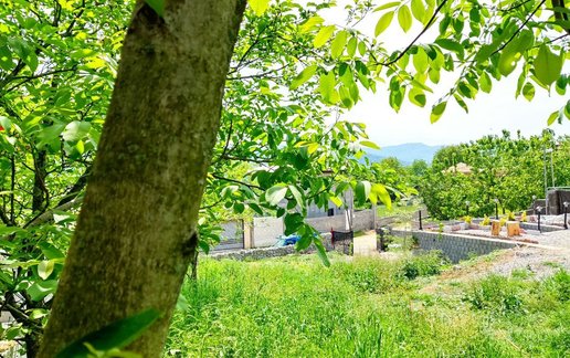 رزرو کلبه یک خوابه سوئیسی سوادکوه