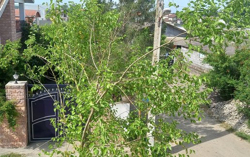 اجاره ویلا دوخوابه جنگلی فتح اللهی