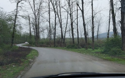 رزرو ویلا دوخوابه جنگلی جمالی