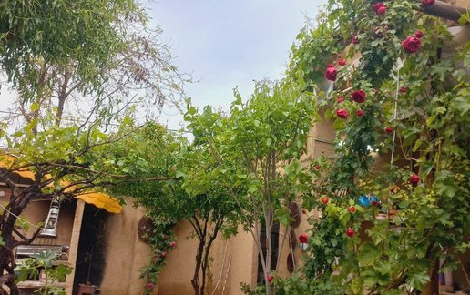رزرو بوم گردی کوروش بزرگ نوخندان - واحد شاهیجان