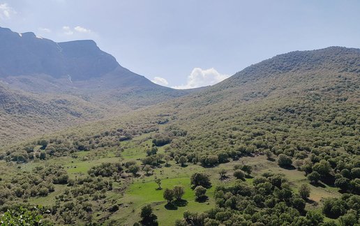اجاره اقامتگاه سنتی پرویز کوه - واحد 1
