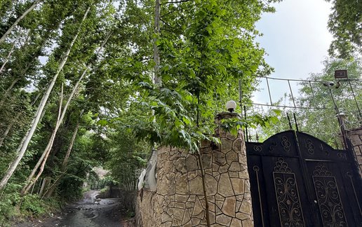 اجاره ویلا یک خوابه جنگلی نهال