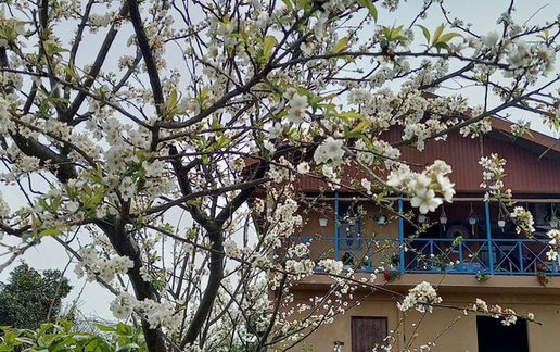 رزرو اقامتگاه سنتی یک خوابه آوای زندگی