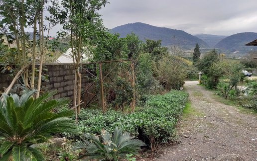 اجاره اقامتگاه سنتی یک خوابه آوای زندگی