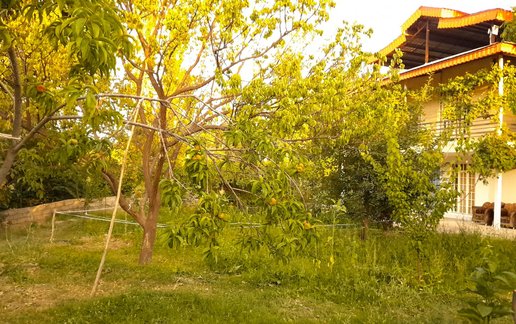 اجاره ویلا یک خوابه باغ جنگلی کلات