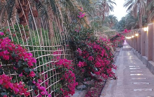 اجاره بوم گردی کلوت حرفه ای شهداد - واحد 1