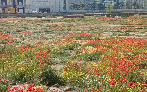 اجاره آپارتمان دوخوابه عابدی 2