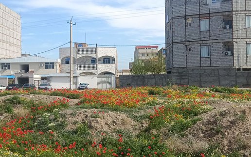 اجاره آپارتمان دوخوابه عابدی 2