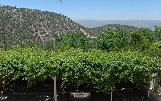 اجاره ویلا دوخوابه خلیج فارس 11